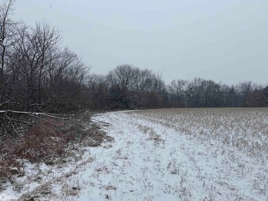 31702 127th St, Floris, IA 52560 - photo 5