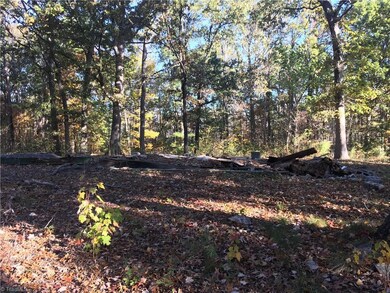 Middle of Lot - Old foundation
