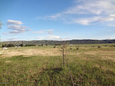 5 Acre View to the South