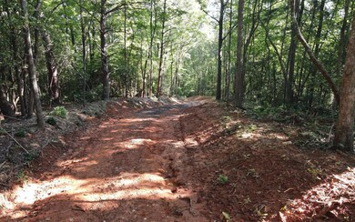 Additional View