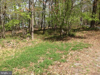 PARCEL 44 Hoffmaster Rd, 11, Sandy Hook, MD 21758 - photo 5