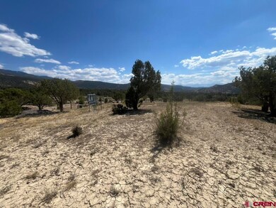 TBD Buckhorn Rd, Montrose, CO 81403 - photo 6