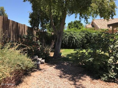 Yard-2