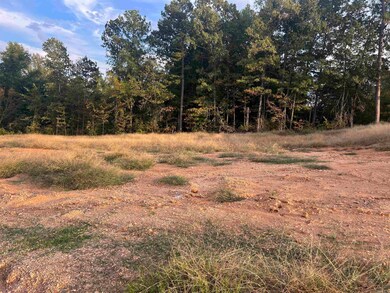 Lot 91 Harmony Village Dr, Haskell, AR 72015 - photo 4