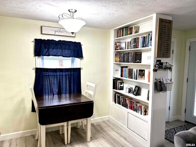 102 Yosemite Ave, Lincoln, IL 62656 - photo 6