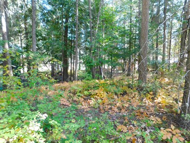 452 Hazel St, Cusick, WA 99119 - photo 5