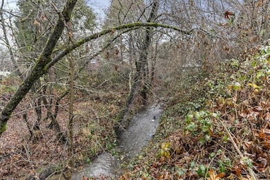 Creek 2