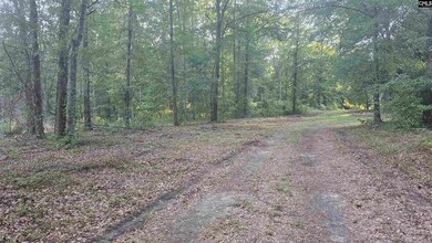 3064 Highway 1 N, Cassatt, SC 29032 - photo 5