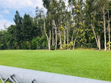 LOOKING OUT YOUR BACK YARD