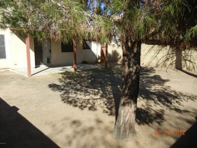 back yard #2
