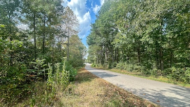 0 Jeanette Holladay Rd, Parsons, TN 38363 - photo 2