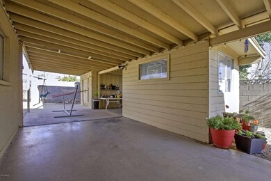 Patio_0753