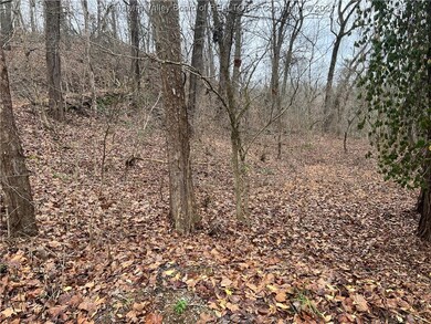 200 Roberts Rd, Dunbar, WV 25064 - photo 5