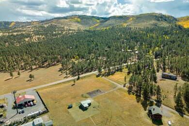 21 N1014, Greer, AZ 85927 - photo 5