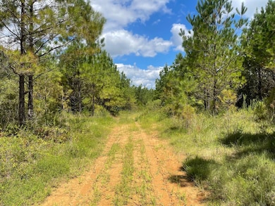 00 Carver Point Rd, Coffeeville, MS 38922 - photo 6