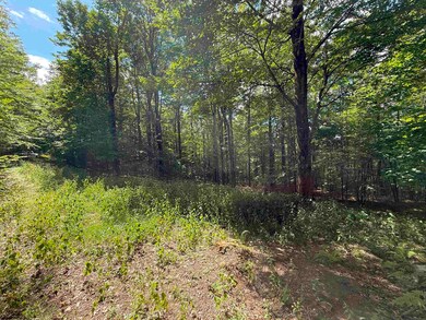 Lot 11 Kumbrabow Rd, Huttonsville, WV 26273 - photo 7