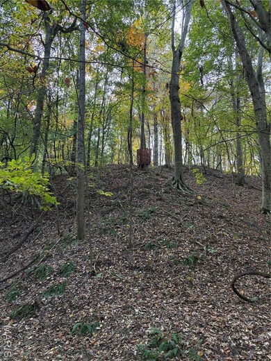 View of local wilderness