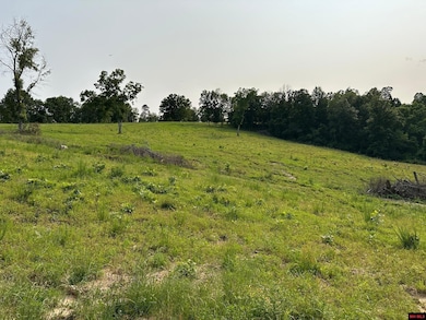 001-07371-001 Mc 5014, Everton, AR 72633 - photo 2