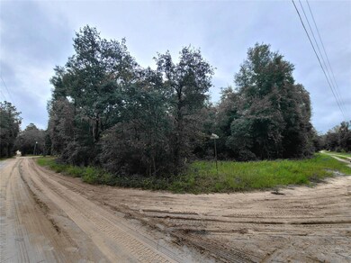 0 NE 120th St unit MFRO6323701, Bronson, FL 32621 - photo 2