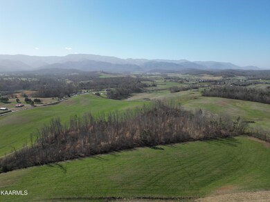 DJI_0523