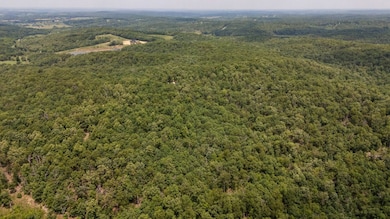 000 Highway Y, Elk Creek, MO 65464 - photo 6