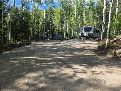 827 E North Fork Rd S unit 827, Fairview, UT 84629 - photo 2