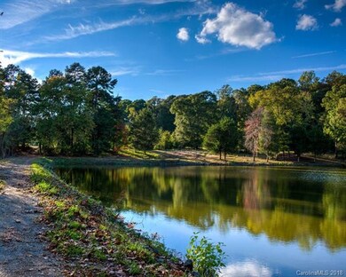 849 Mayapple Way unit 45, Belmont, NC 28012 - photo 6