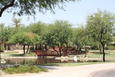 Montefino Village Lake/Park
