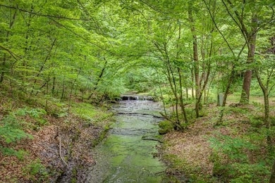 Nestled in the rolling hills of western Williamson County, this rustic retreat is part of the coveted 105-acre Fernvale Fish Club, shared among just eight fortunate cabin owners.