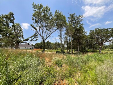 1000 Meadow Wood Terrace, Azle, TX 76020 - photo 5