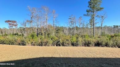 lot 75 Rear Yard