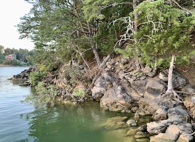 0 Sky Way, Dandridge, TN 37725 - photo 3