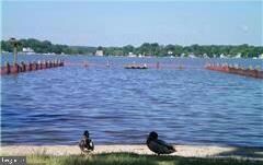 4959 Elm St, Shady Side, MD 20764 - photo 5