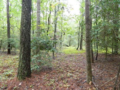 Lot interior