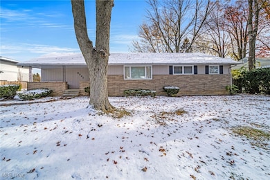 8241 Lewis Rd, Berea, OH 44017 - photo 2