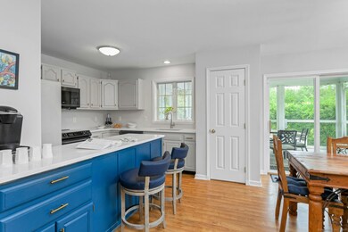 36 Kellogg Rd, Falls Village, CT 06031 - photo 4