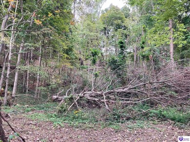 1633 Boone Hollow Rd, Battletown, KY 40104 - photo 3