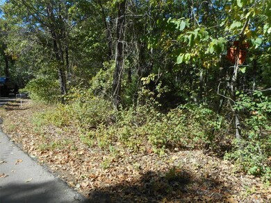 232 Buzzard Rock Rd, Farmington, MO 63640 - photo 3