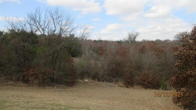 7316 Wilderness Way, Weatherford, TX 76085 - photo 3