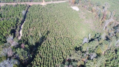 Henry Co Rd 46, Shorterville, AL 36373 - photo 6