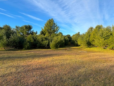 0 Brevort Lake Rd unit 25-1160, Moran, MI 49760 - photo 3