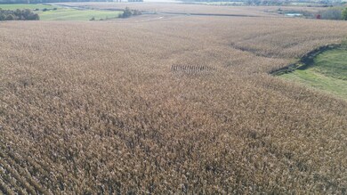 52 Scarlet Ave, Bloomfield, IA 52537 - photo 4