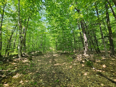 Lot 023-A Oak Hill Rd, Temple, ME 04984 - photo 3