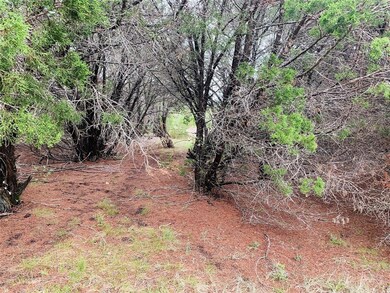 18183 Wildwood Dr, Whitney, TX 76692 - photo 2