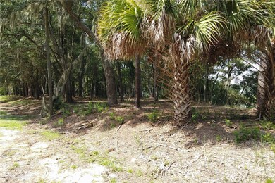 2061 Belle Island Rd, Richmond Hill, GA 31324 - photo 6