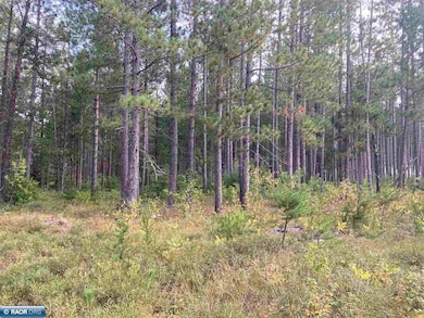 TBD Hoel Rd, Tikander Lake, MN 55741 - photo 6
