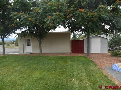 Detached garage, shed, and fenced in storage for m