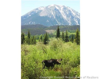 View. Moose having lunch at Angler Mountain Ranch