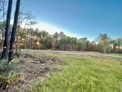 375 Piney Point Dr, Milam, TX 75959 - photo 4