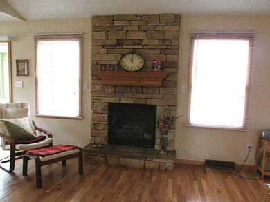 Living Room. Living room fireplace